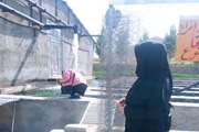 بازدید مشترک کارشناسان شبکه دامپزشکی و جهاد کشاورزی شهرستان درگز، از مزارع پرورش ماهی   